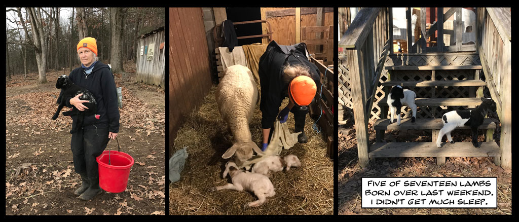 on graphic enabled browsers, the image /km/co/co1024/comics/co20251212L.jpg would be displayed here