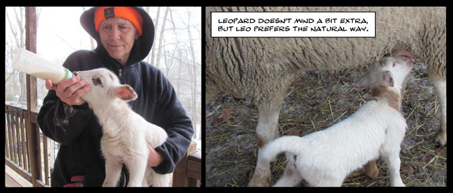 on graphic enabled browsers, the image /km/co/co1024/comics/co20251217.jpg would be displayed here