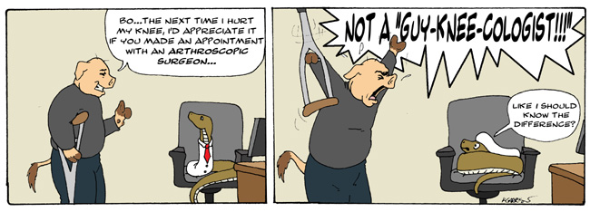 on graphic enabled browsers, the image /km/co/comics/co20081212.jpg would be displayed here