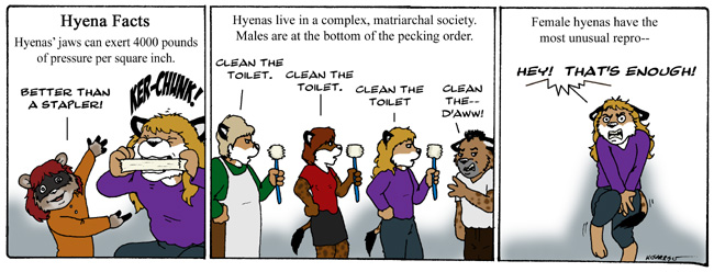 on graphic enabled browsers, the image /km/co/comics/co20081219.jpg would be displayed here