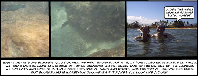 on graphic enabled browsers, the image /km/co/comics/co20090720b.jpg would be displayed here