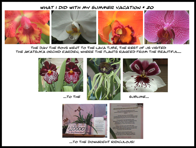 on graphic enabled browsers, the image /km/co/comics/co20090812b.jpg would be displayed here