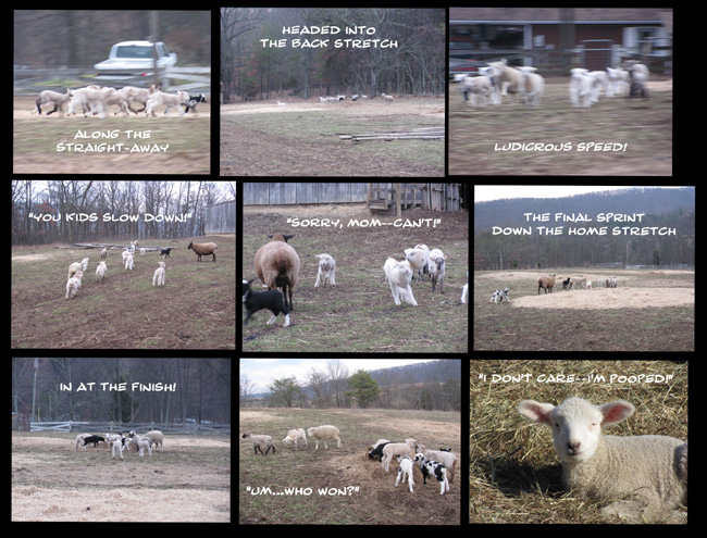 on graphic enabled browsers, the image /km/co/comics/co20130116c.jpg would be displayed here