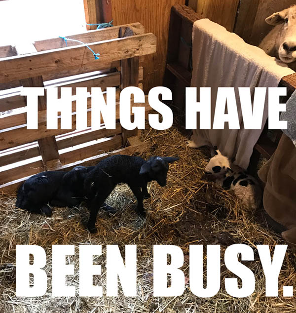 on graphic enabled browsers, the image /km/co/comics/co20251210.jpg would be displayed here