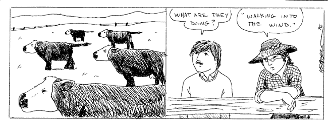 on graphic enabled browsers, the image /km/km/comics/km20050801.gif would be displayed here